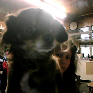 Meet your Posher, Mackenzie